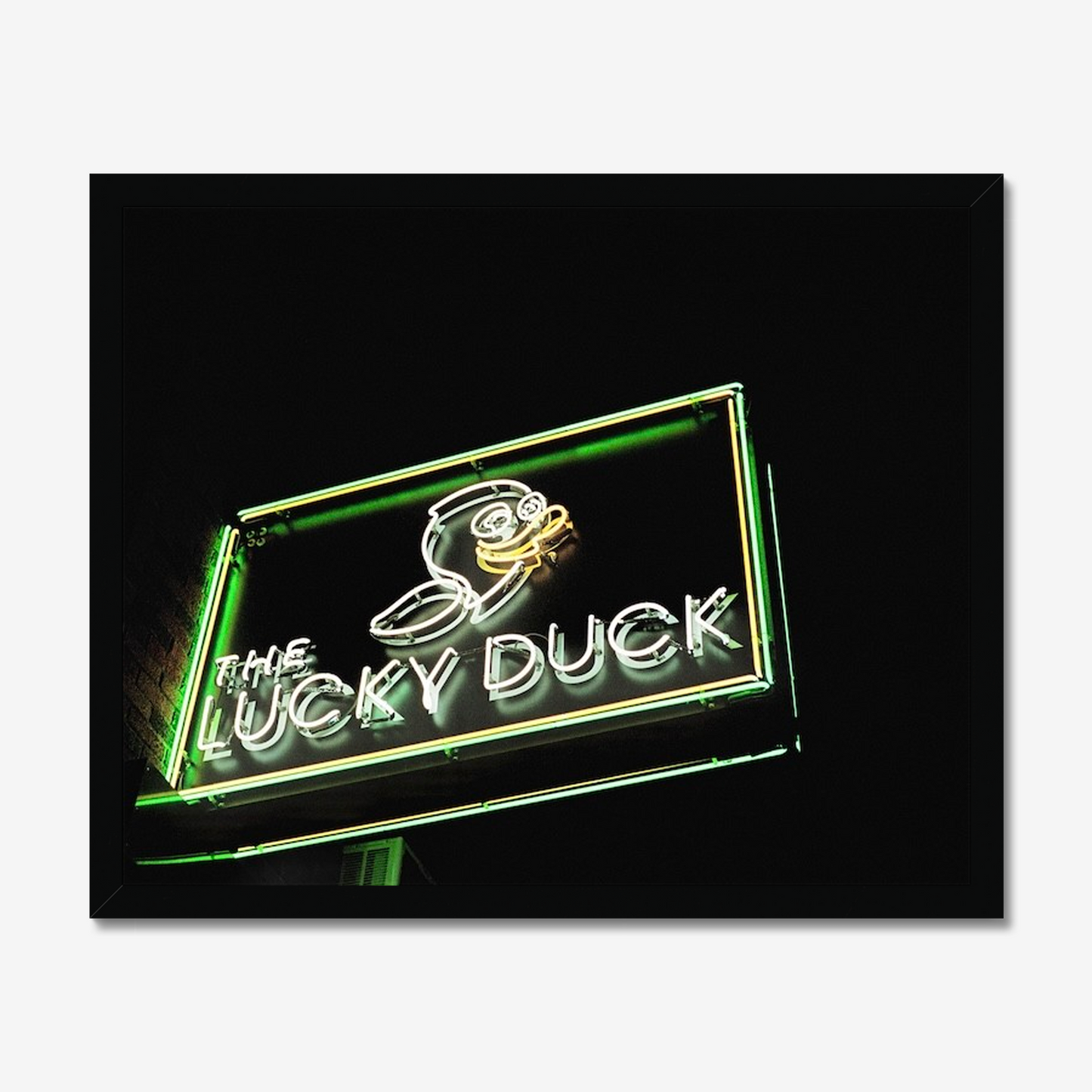The Lucky Duck